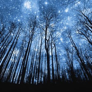 欧美老妇性色XXⅩXXA片
