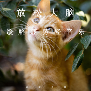 欧美老妇性色XXⅩXXA片
